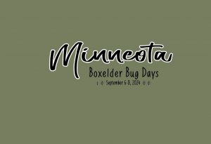 minneota-bug-days-2024