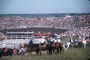 rodeo-small